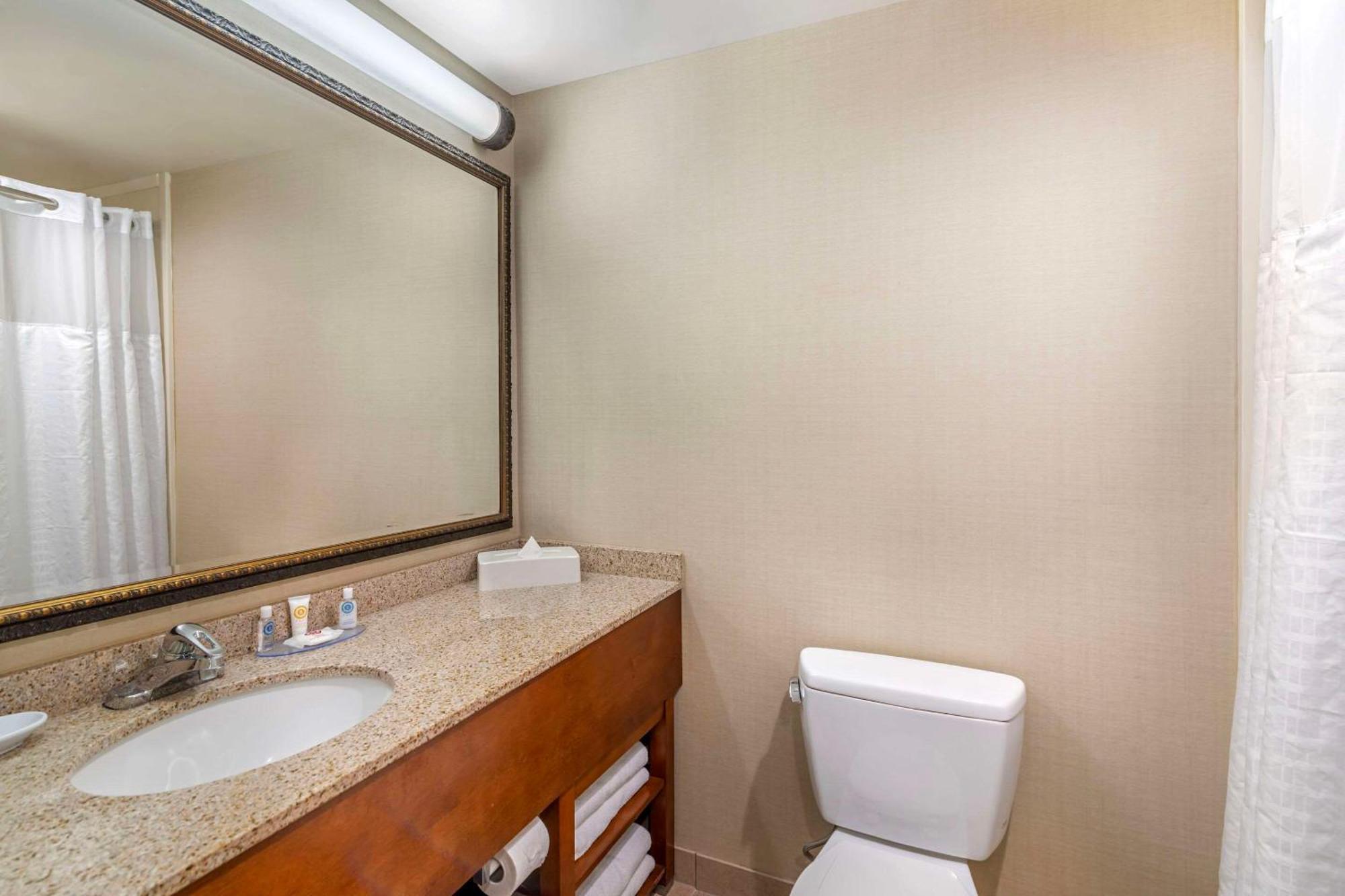 Comfort Inn & Suites Dover-Portsmouth Eksteriør bilde